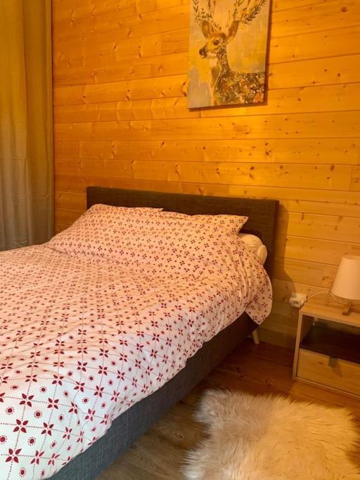Appart Style Chalet Superbe Vue, Ski Vip Remise 20 % Font-Romeu-Odeillo-Via Extérieur photo